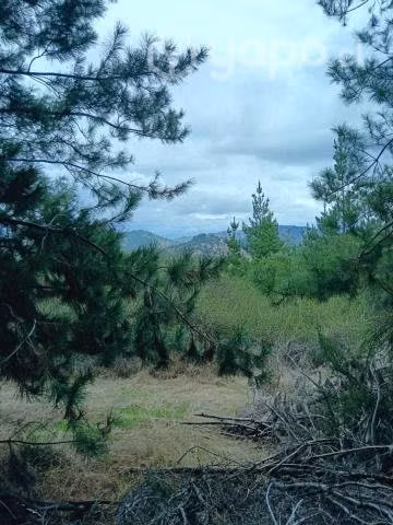 Venta de Parcelas CHEPICA - Imagen 4
