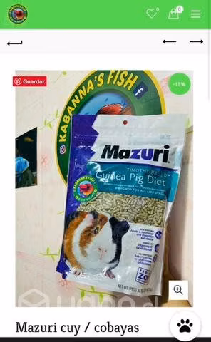 Mazuri cuy