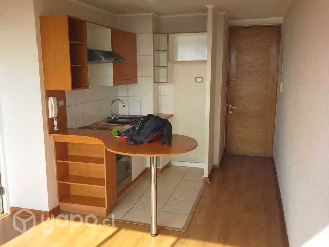 Dueño arrienda depto 1 dorm Metro Santa Lucia