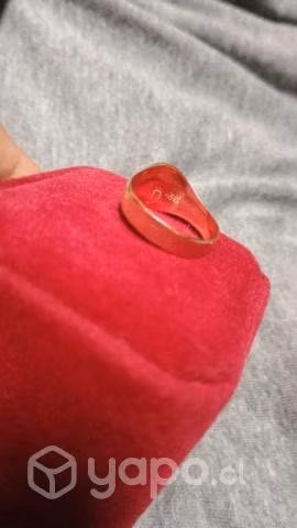 Anillo de oro número 16