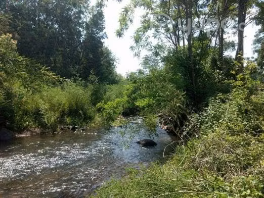 Camino aTermas de Chillan Sitio en Condominio