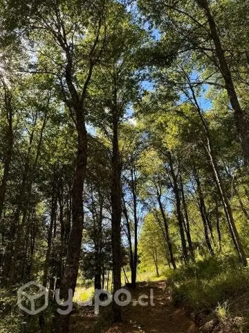 Camino aTermas de Chillan Sitio en Condominio