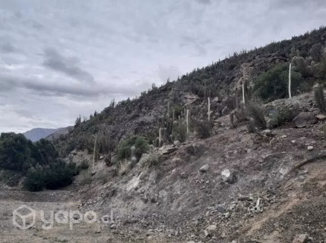 Terreno ubicado en el hermoso sector de La Campana