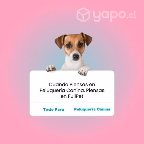 Cepillo Cerdas de Jabalí ( perros y gatos)