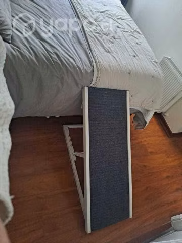 Rampla para perrito - Imagen 2