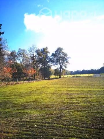 Venta Parcelas En Los Ángeles, Camino Antuco Km22