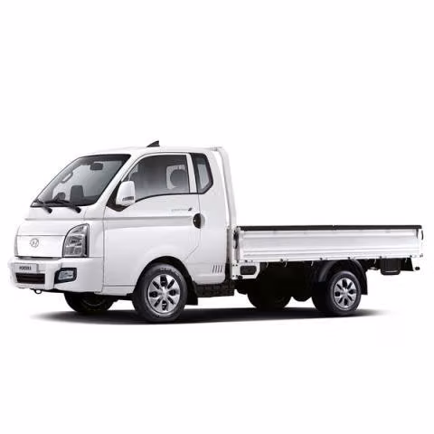 Camion Porter.