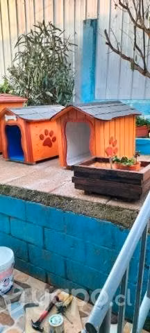 Casa mascotas