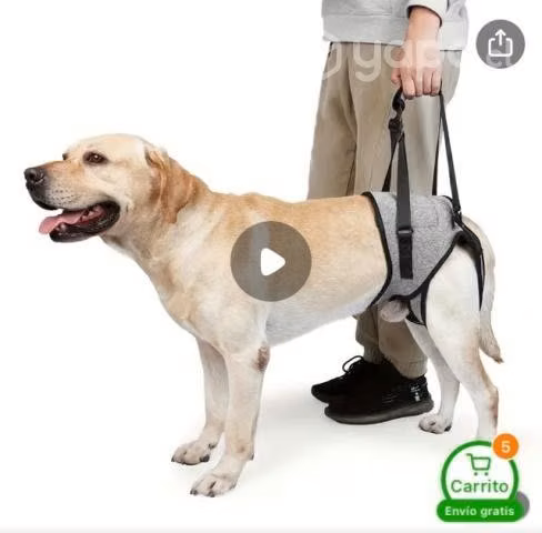 Arnés de elevación patas traseras
