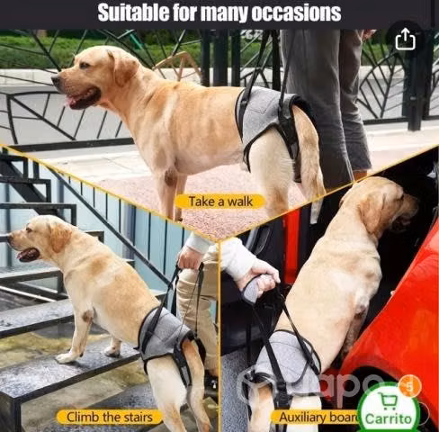 Arnés de elevación patas traseras