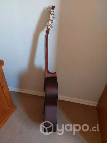 Guitarra Acustica