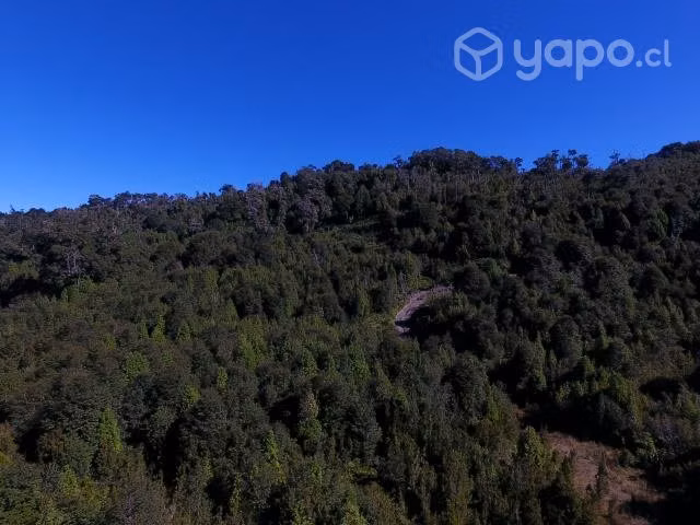 Vendo Bello Terreno en Hualaihue