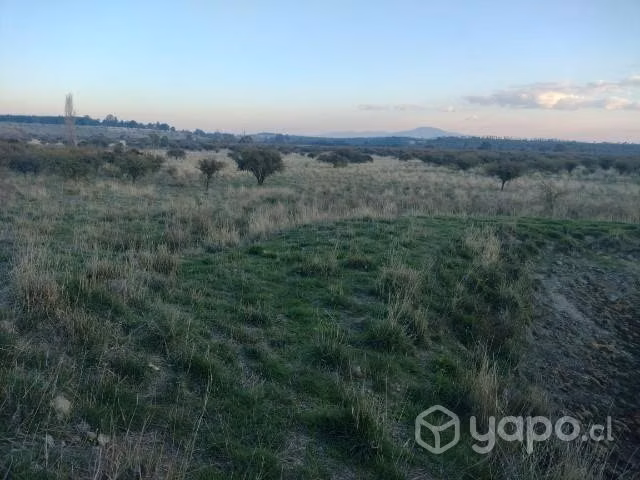Terreno 10 hectáreas