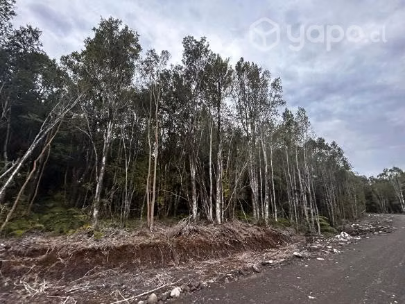 Parcela Correntoso -Puerto Montt-Rol Propio