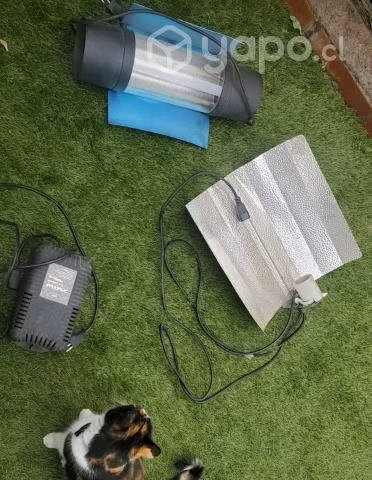 BALASTRO 250w USADO con regalo