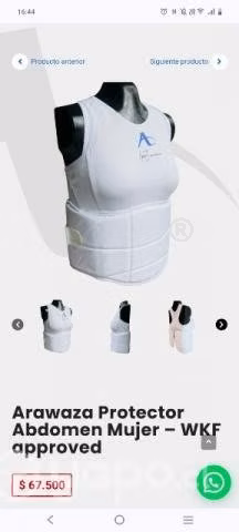 Protector de dorso