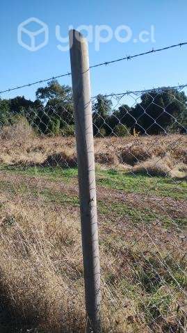 TERRENO de 5000mt2 con casa de 80mt2 - Imagen 3