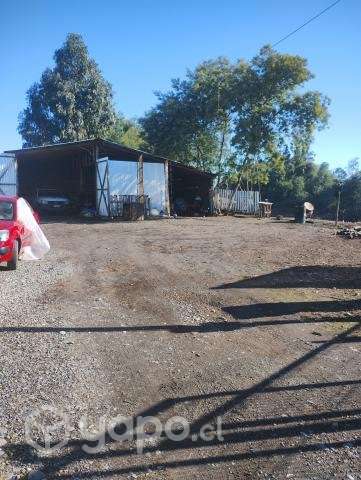 Vendo terreno camino pinto - Imagen 4