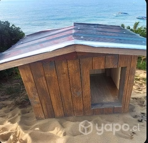 Casas Para Perros
