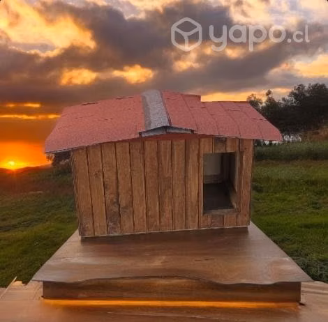 Casas Para Perros