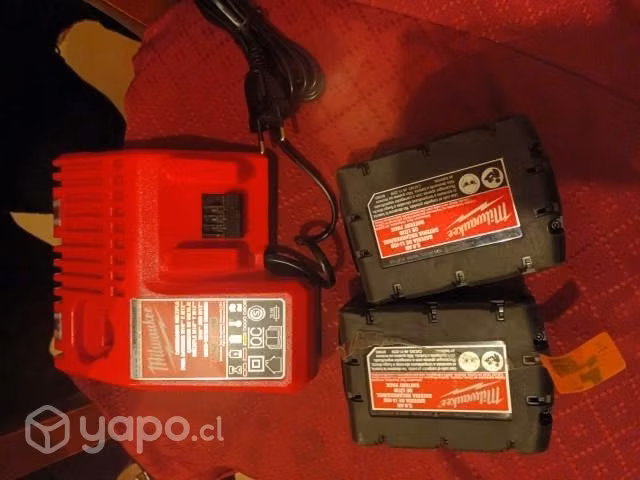 Cargador y baterías