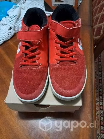 Zapatos y zapatillas desde 36 al 41