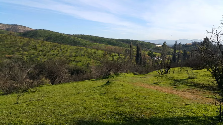 Peñablanca, Sector los Maitenes