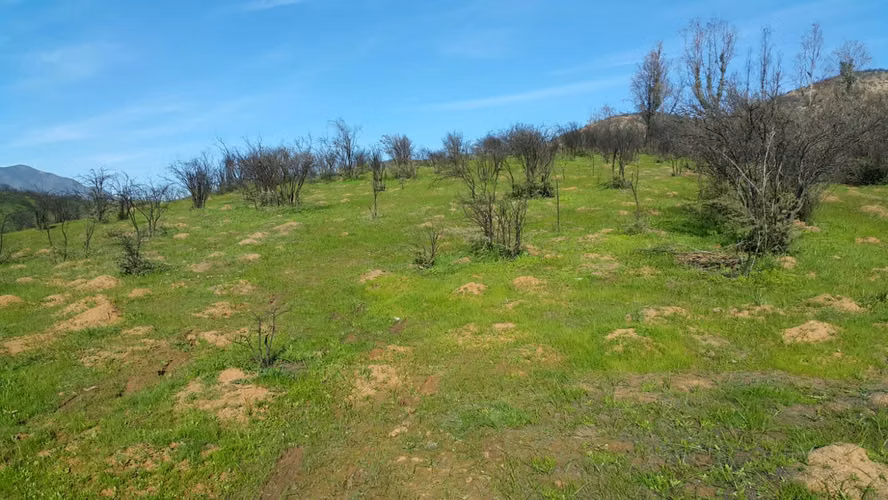 Peñablanca, Sector los Maitenes - Imagen 4