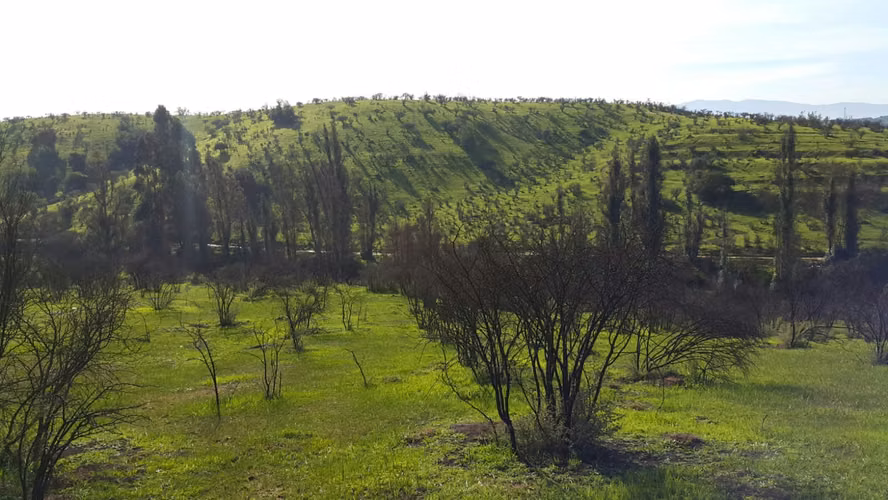 Peñablanca, Sector los Maitenes - Imagen 9