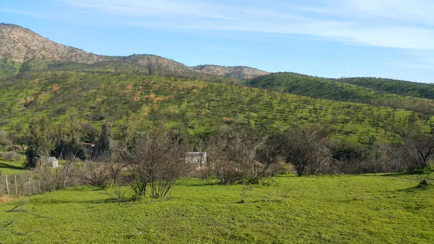 Peñablanca, Sector los Maitenes - Imagen 8