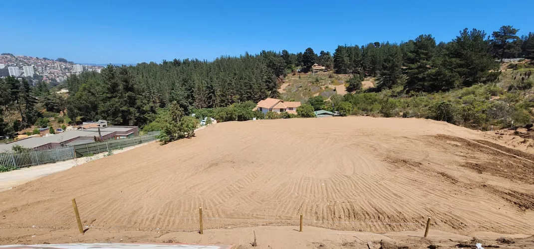Los Pinos Reñaca - Imagen 2