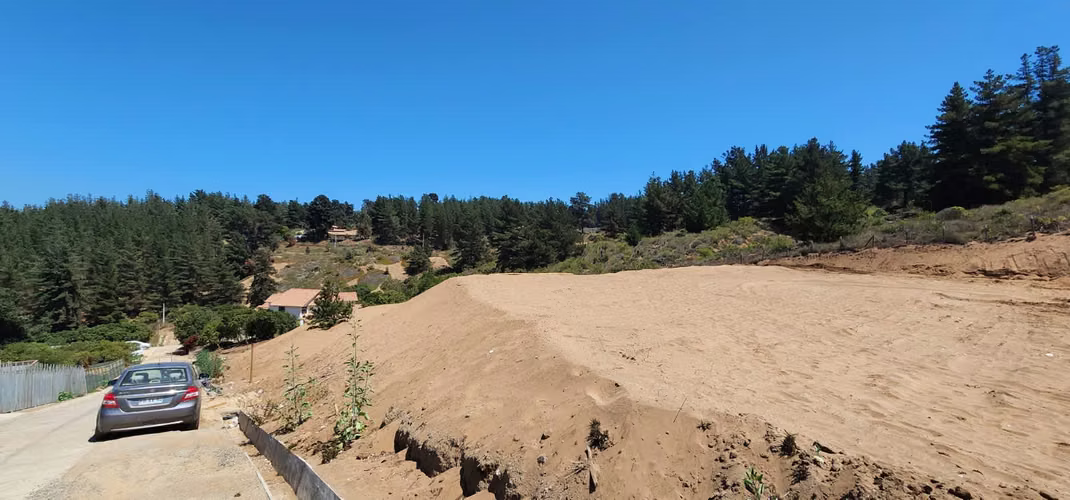 Los Pinos Reñaca - Imagen 5