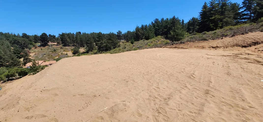 Los Pinos Reñaca - Imagen 3