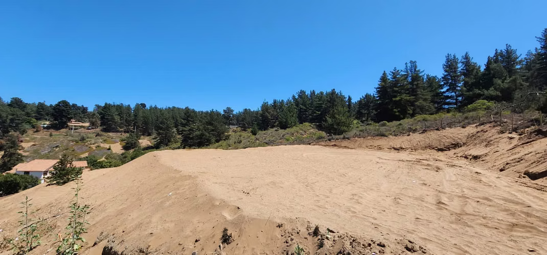 Los Pinos Reñaca - Imagen 4