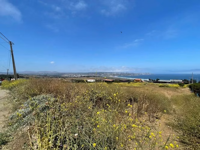 Sitio PARCELA EN VENTA MANTAGUA (CÓD. 278)
