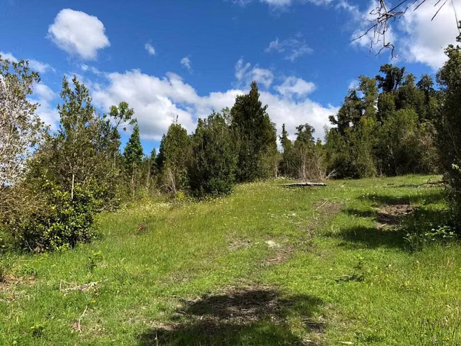 Parcela 5.000 camino Ralun (29598)