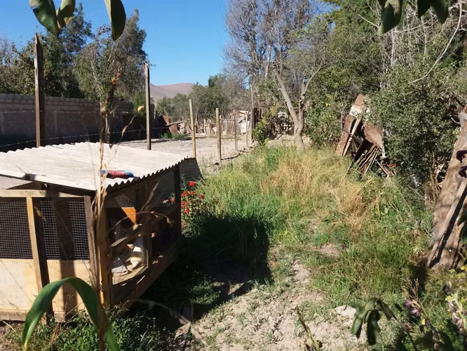CASA Casa con amplio terreno en Avenida Los Carrera.