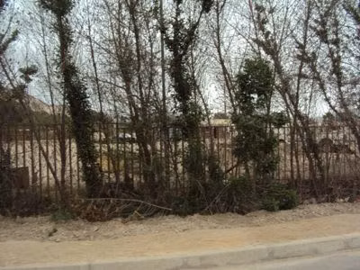 SITIO Terreno en venta en sector norte de Copiapó. - Imagen 3