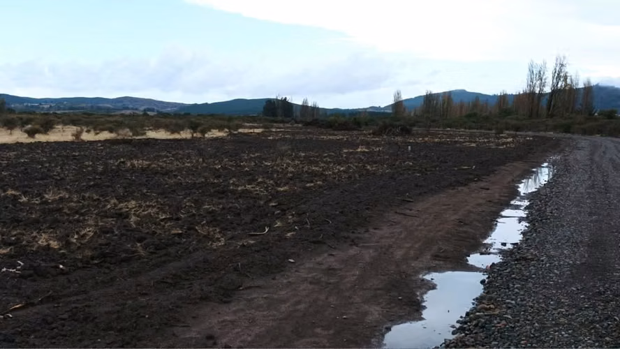 PARCELA Parcela en venta sector Ñiquén extremo norte de la Octava Región