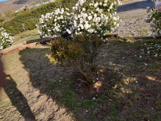 SITIO Terreno en venta en sector Condominio Cerro Grande