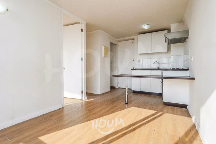 Departamento en Buzo Sobenes