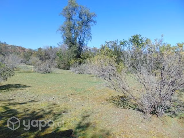 Parcela 35.000 m2, Las Palmas de Alvarado, Olmué - Imagen 4