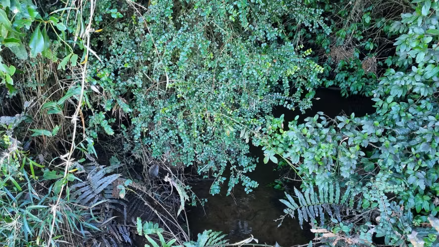 Parcela PARCELAS CON ESTERO SECTOR LIPINGUE