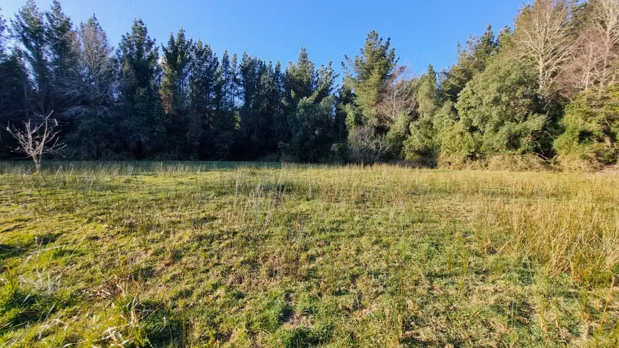 Parcela PARCELAS CON ESTERO SECTOR LIPINGUE