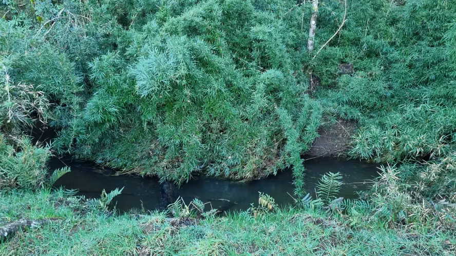 Parcela PARCELAS CON ESTERO SECTOR LIPINGUE