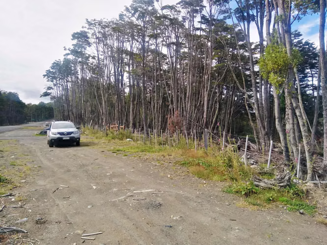 PARCELA EN SENO OBSTRUCCION NATALES