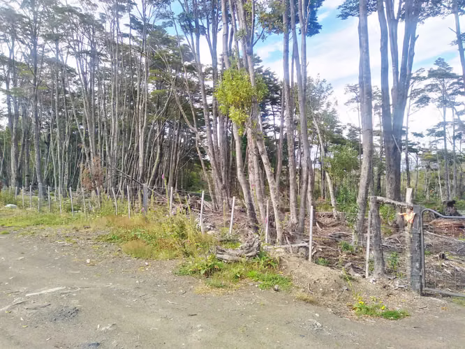 PARCELA EN SENO OBSTRUCCION NATALES