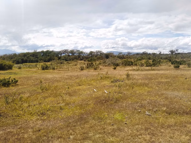 PARCELAS EN DUMESTRE NATALES