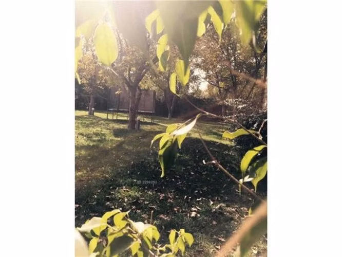 VENTA, SAN BERNARDO, PARCELA EN PARQUE SAN LEON