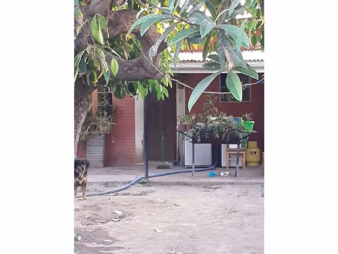 BUIN CENTRO - Imagen 19